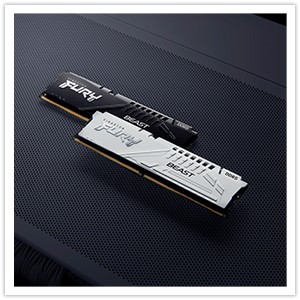 Kingston FURY™ Beast DDR5