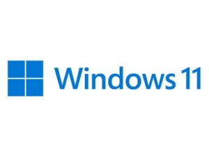 MICROSOFT WINDOWS 11 Pro 64Bit Italian 1pk DSP OEI DVD FQC-10538